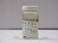 藏品(四線天竺鯛)的圖片